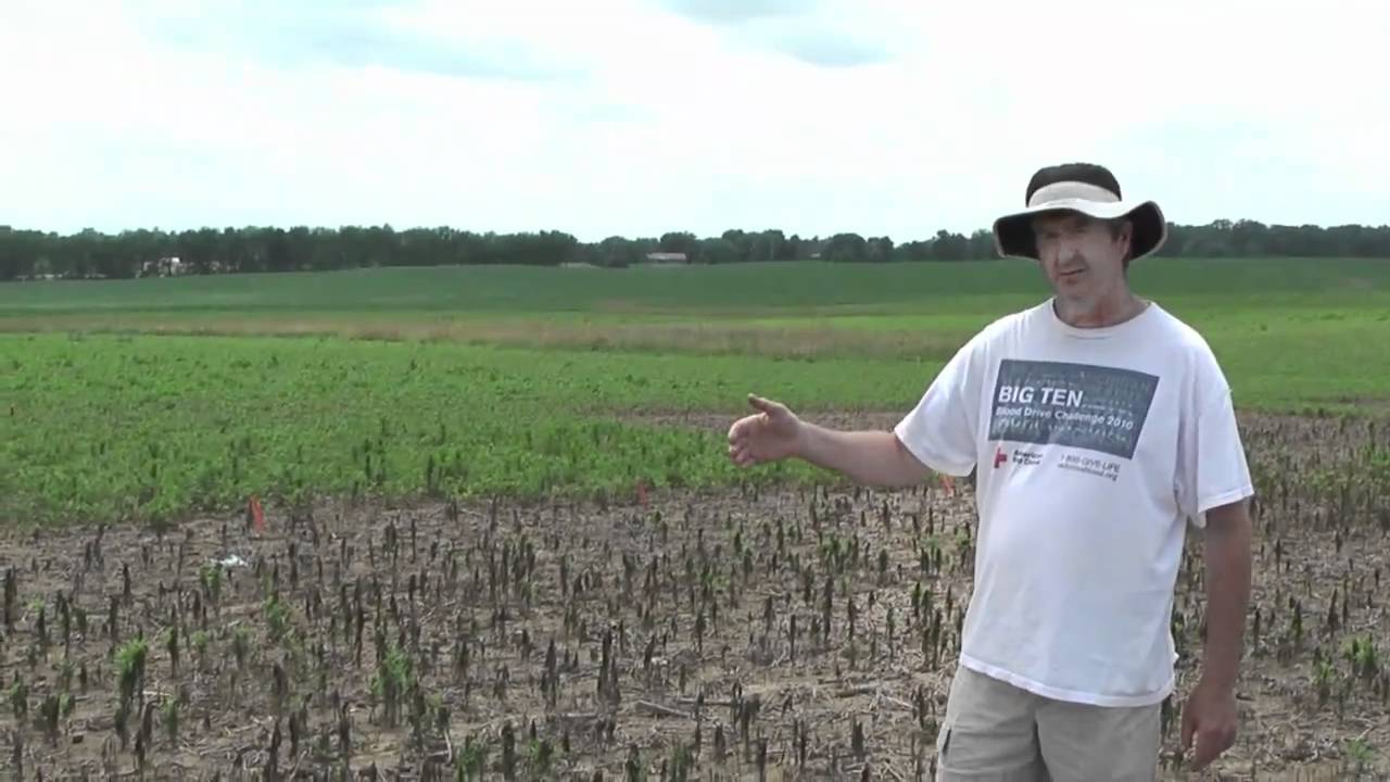 Soybean Burndown Treatments