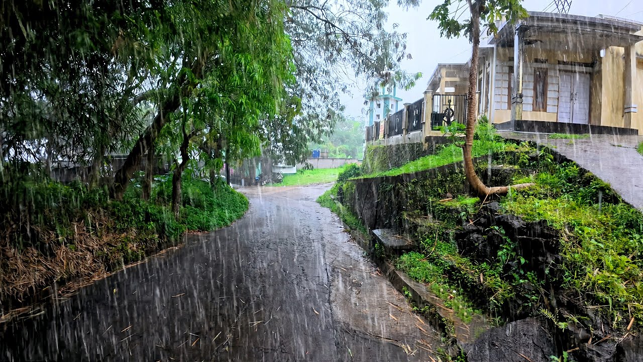 A Quiet Rain Walk Through a Residential Neighborhood | Real Rain Sounds