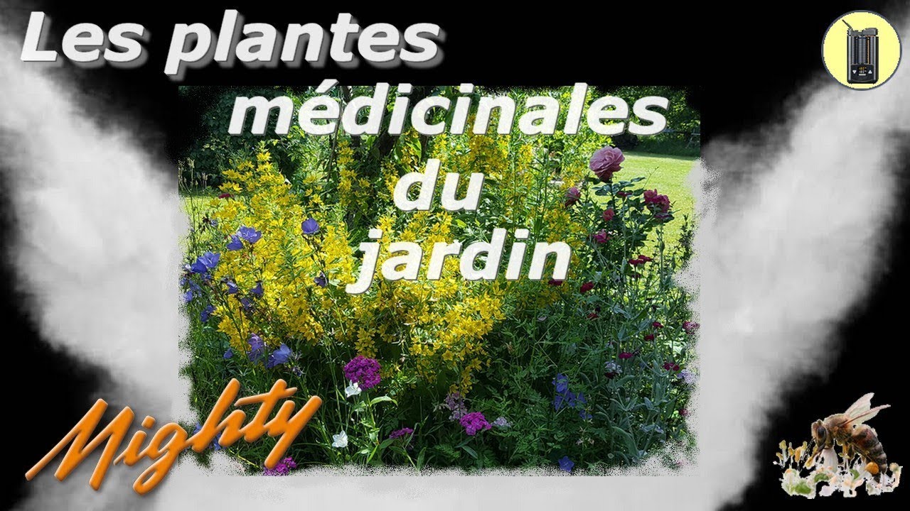 VAPORISATION, 17 Plantes De Jardin, Vaporisateur d'Herbes S&egrave;ches, Test & Avis