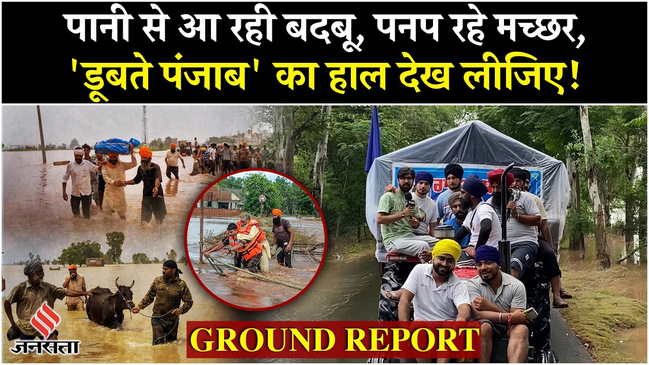 Punjab Flood Ground Report: Ajnala, Amritsar में बाढ़ से तबाह फसलें, देखिए खास ग्राउंड रिपोर्ट|