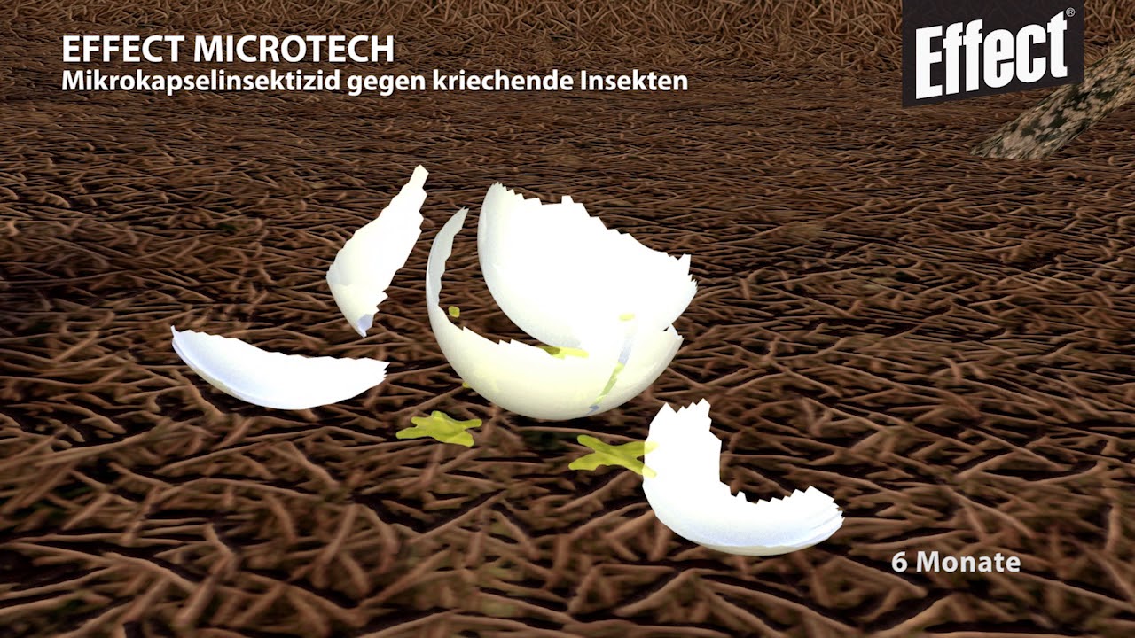 Effect Profesionelle Insektizide
