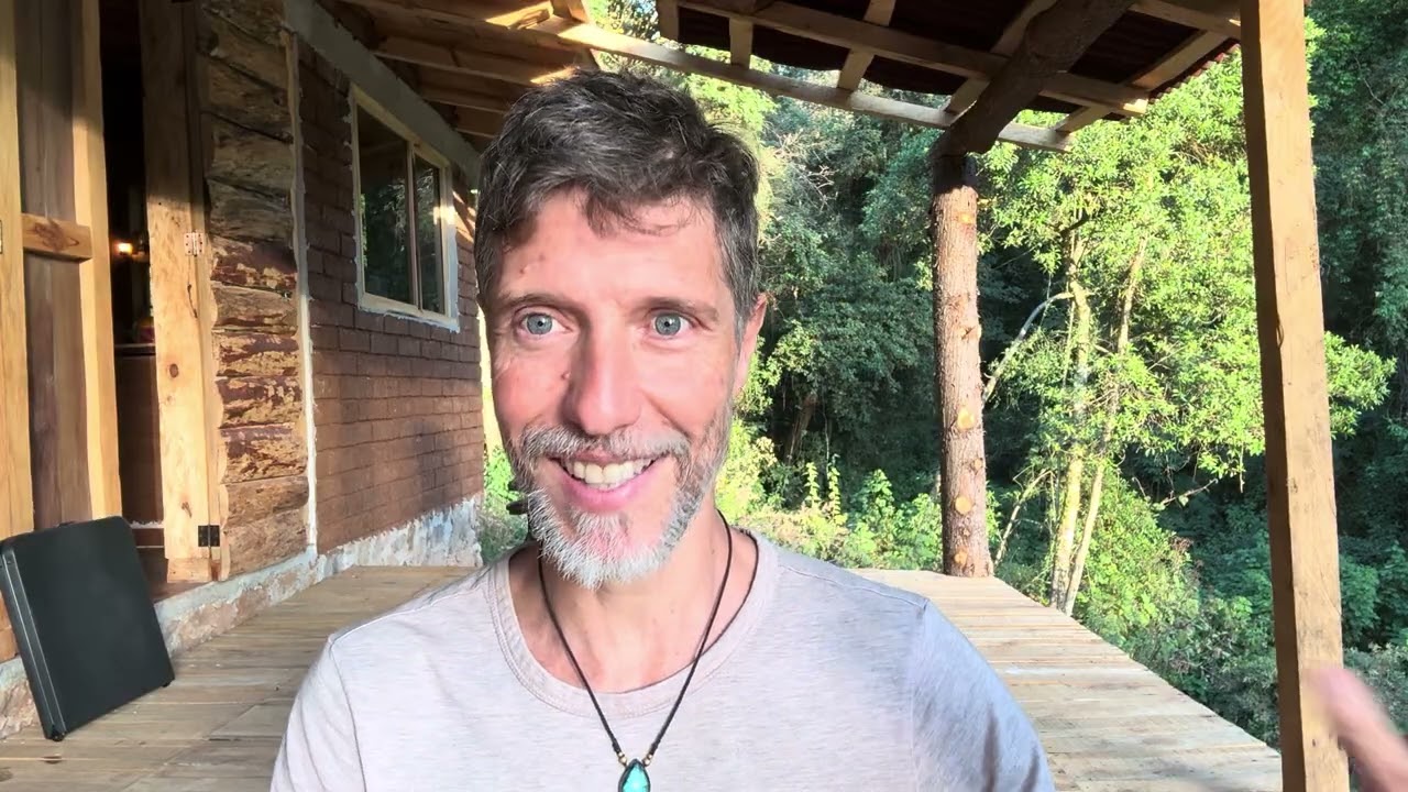 Estrategia de partes en trabajo de organization de psique y carga emocional.
