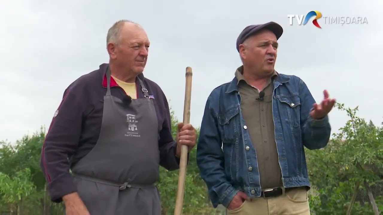 Mătură de avlie sau mătură de sobă #GraiulBanatean @TVRTM
