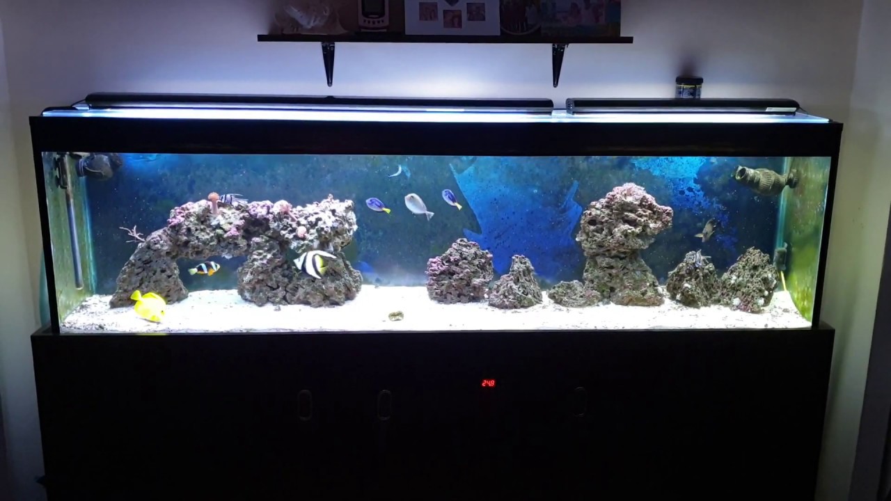 Acvariu marin 400 litri