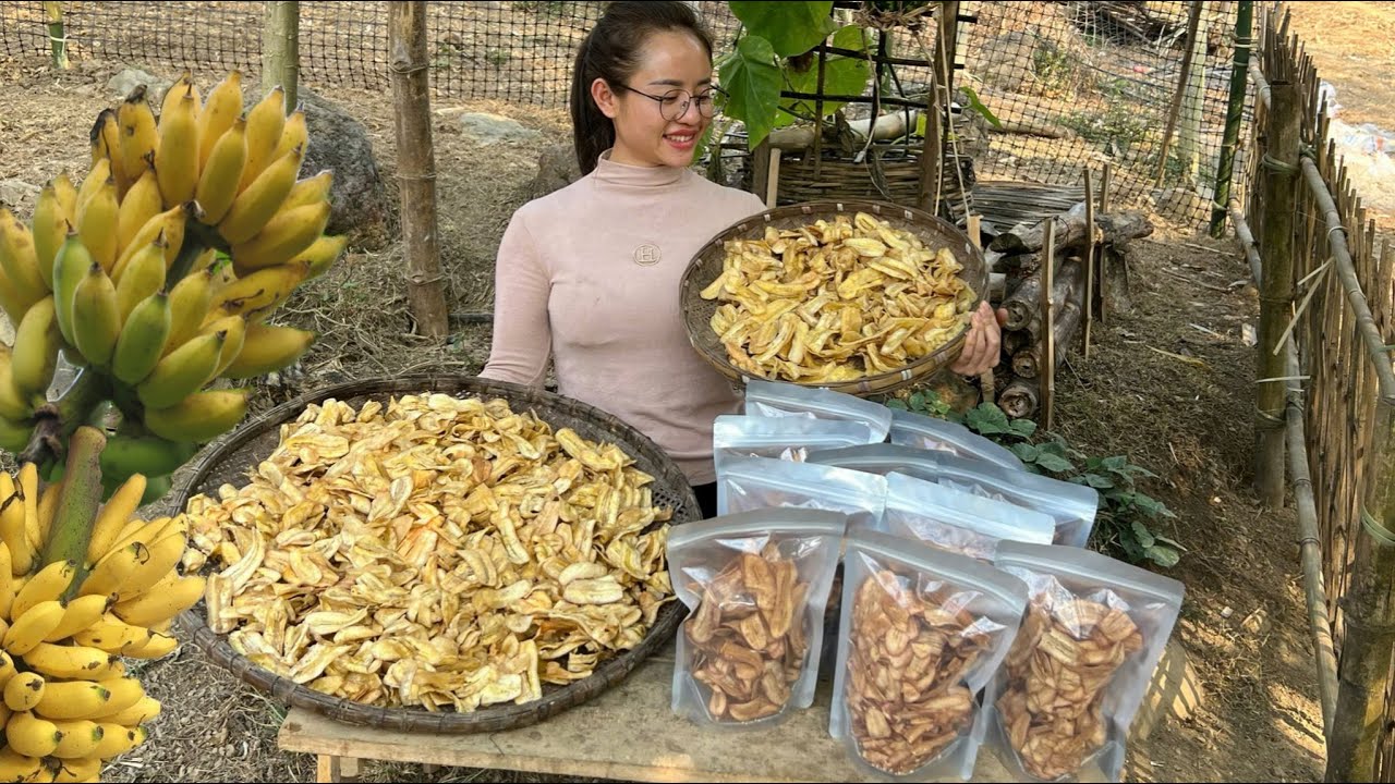 Harvest banana bunches to make fried sesame cakes to sell at the market