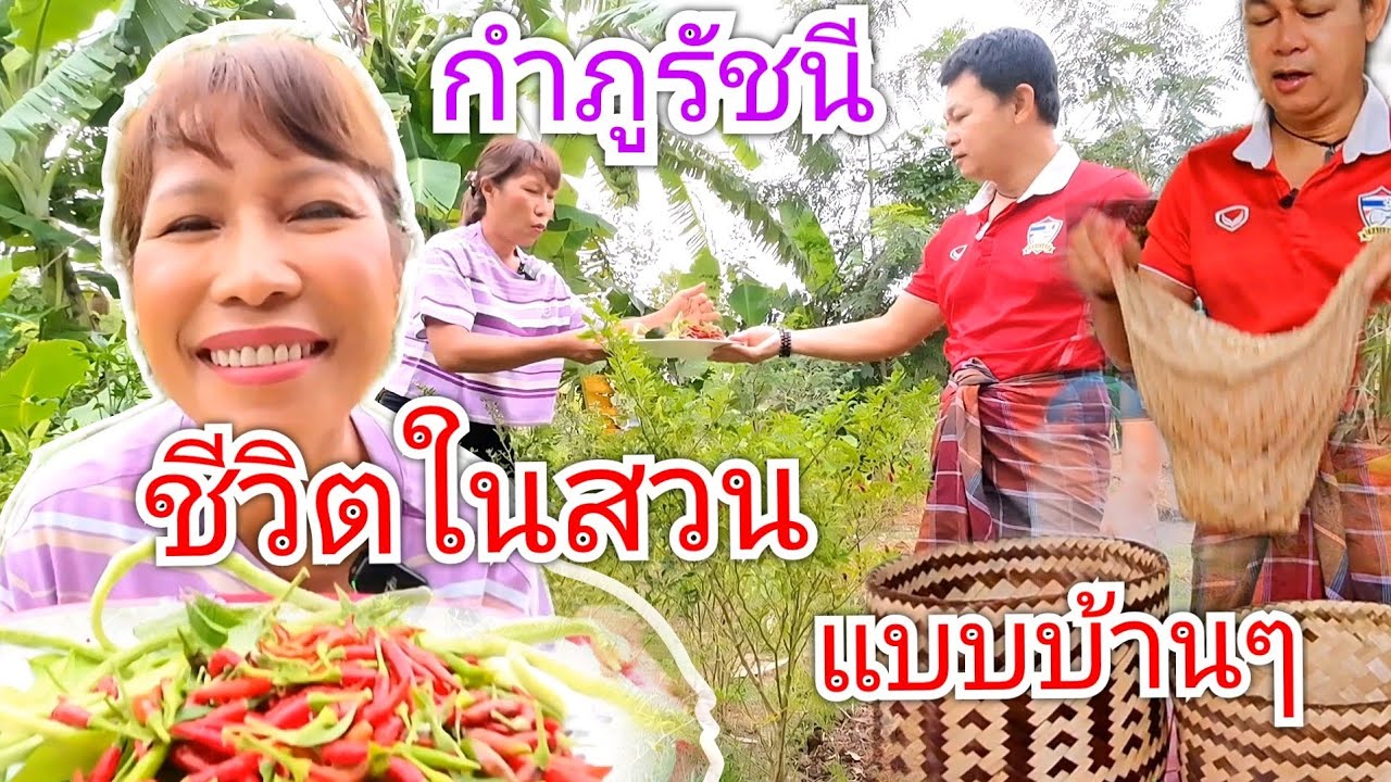 กำภูรัชนีอยู่สวนใช้ชีวิตบ้านๆ เก็บพริก เก็บถั่วทำกิน #บ้านสวนกำภูEp821
