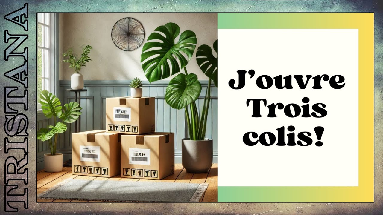 Mon anniversaire avant l'heure! 📦