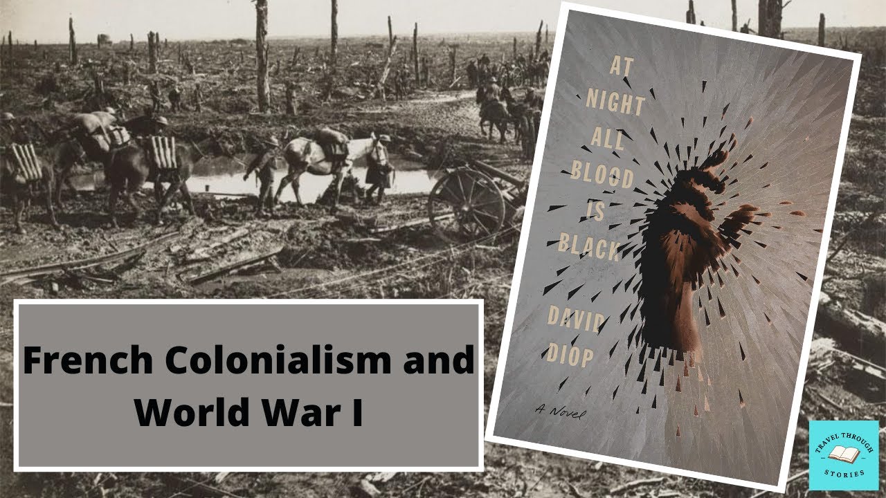 AT NIGHT ALL BLOOD IS BLACK, by David Diop, trans. Anna Moschovakis | Book Review