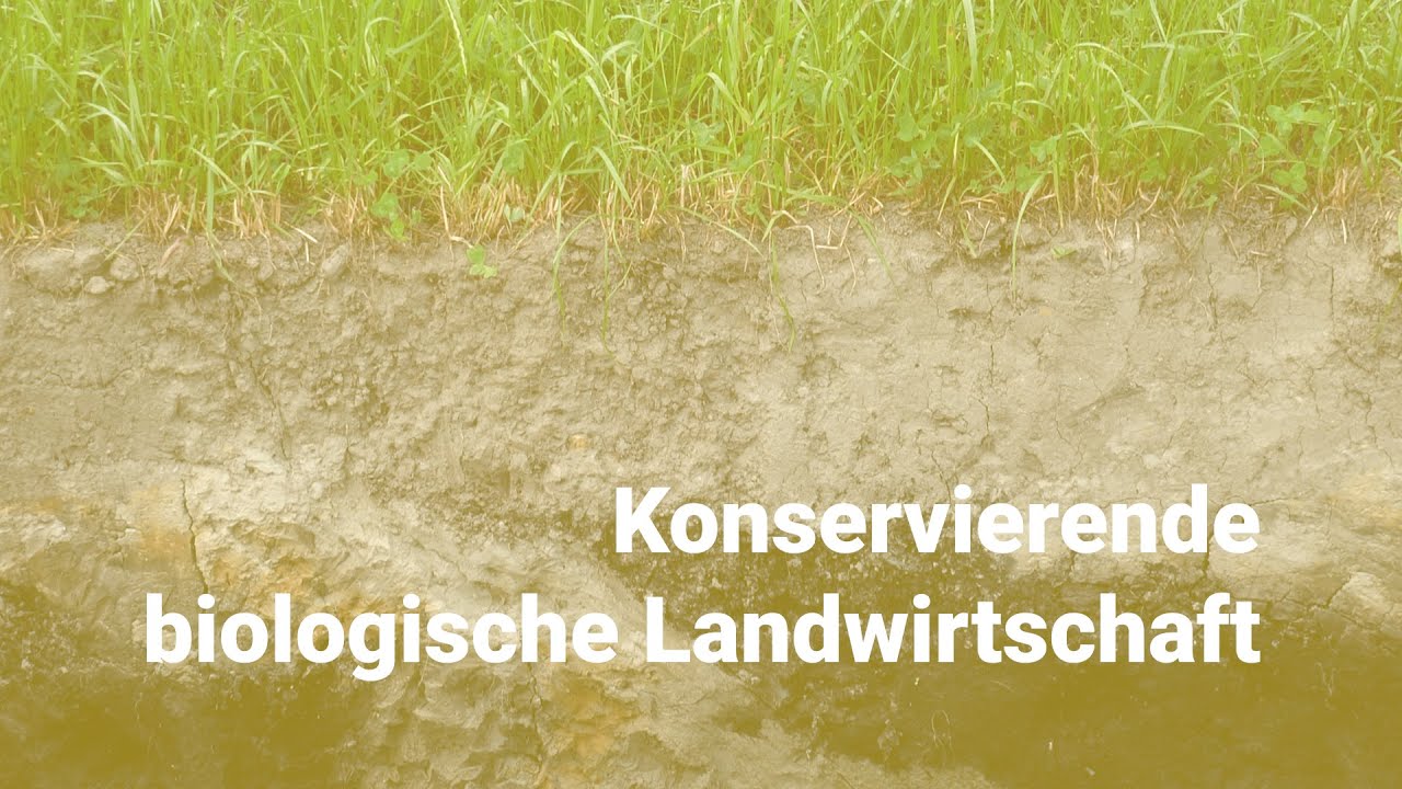 Konservierende Biologische Landwirtschaft