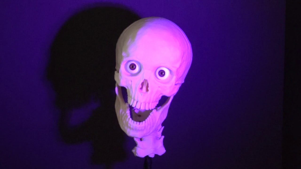 Ghost Host
