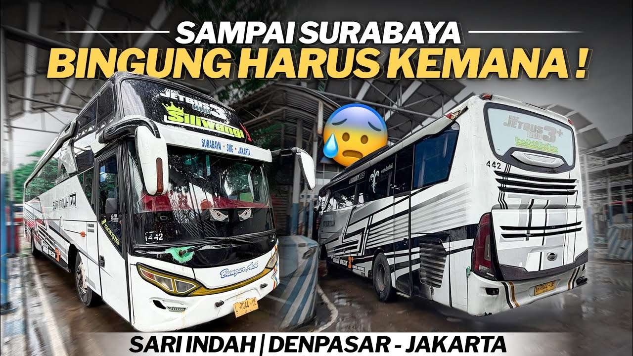 SARI INDAH DENPASAR - JAKARTA || MENCARI KEJELASAN DI SURABAYA BARENG PENUMPANG LAINNYA‼️[ Part 5 ] 
