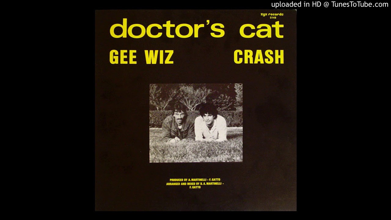 Doctor's Cat - Crash - 1984