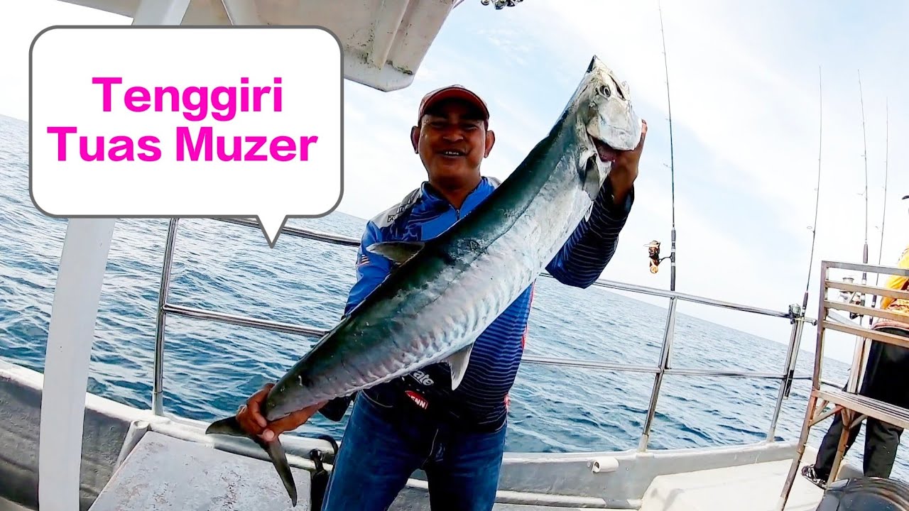 Mancing Tuas Muzer Selatan Payar Tenggiri Size² Ikan Bottom Pun Padu s405