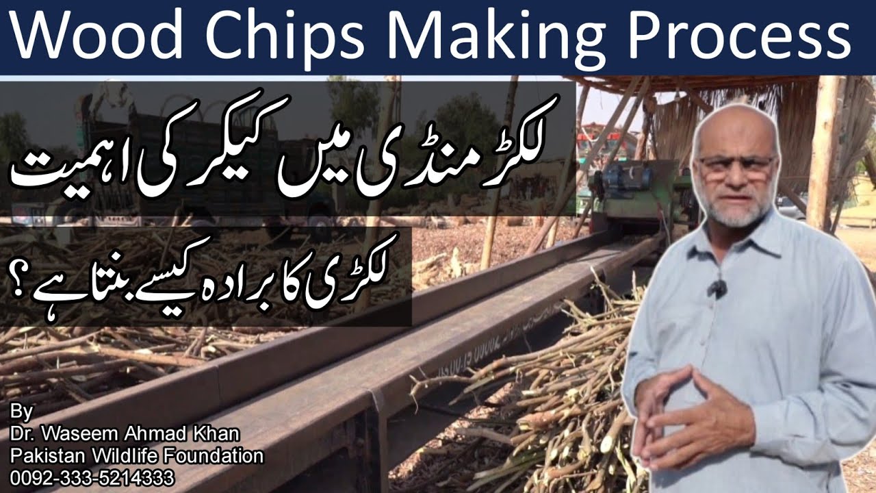 Importance Of Mesquite In Wood Market | Lakar Mandi Main Keekar Ki Ahmiyat | How Are Wood Chips Made