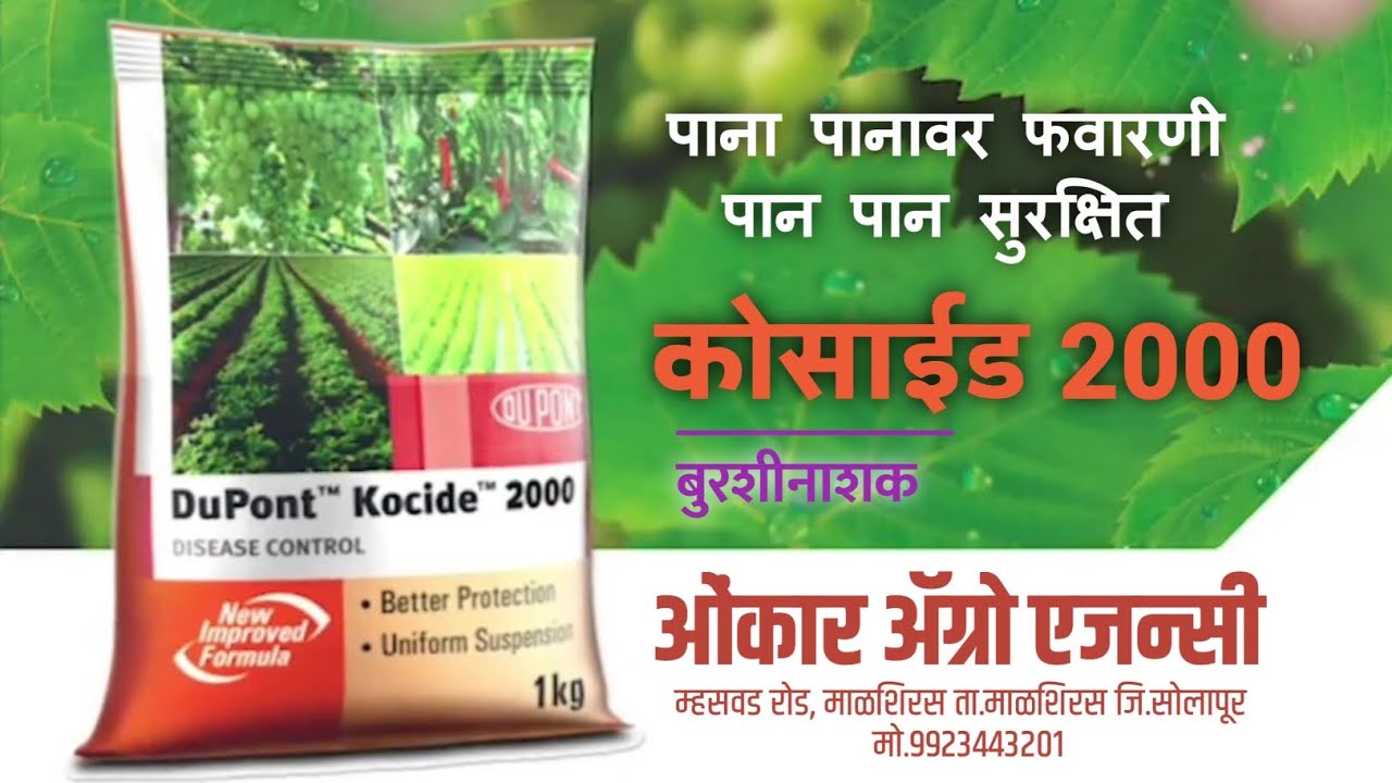कोसाईड २०००|DuPont Kocide 2000| 𝐎𝐧𝐤𝐚𝐫 𝐀𝐠𝐫𝐨 𝐀𝐠𝐞𝐧𝐜𝐲,𝐌𝐚𝐥𝐬𝐡𝐢𝐫𝐚𝐬 | @Corteva #shorts #farming