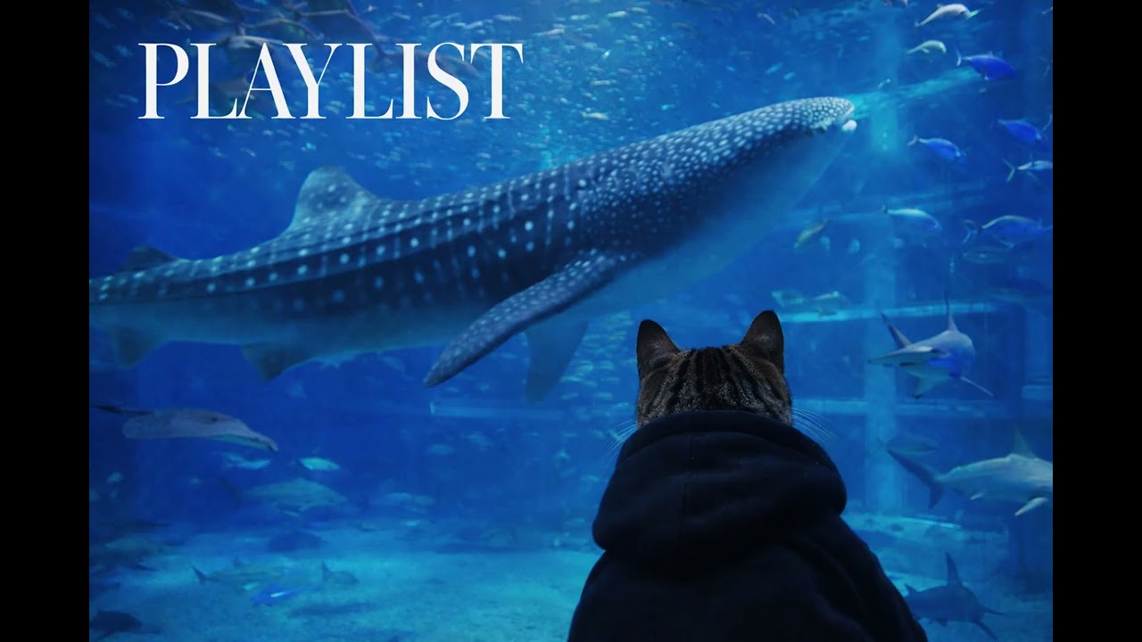 Deep Sea Soul 🌌 Smooth Melodic Rap Mix for Late Night Drive