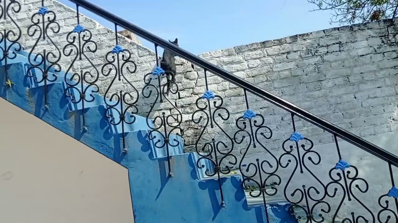 Village Birampur, Punjab, تقسیم سے پہلے گاؤں بیرام پور کی دھندلی تصویریں۔