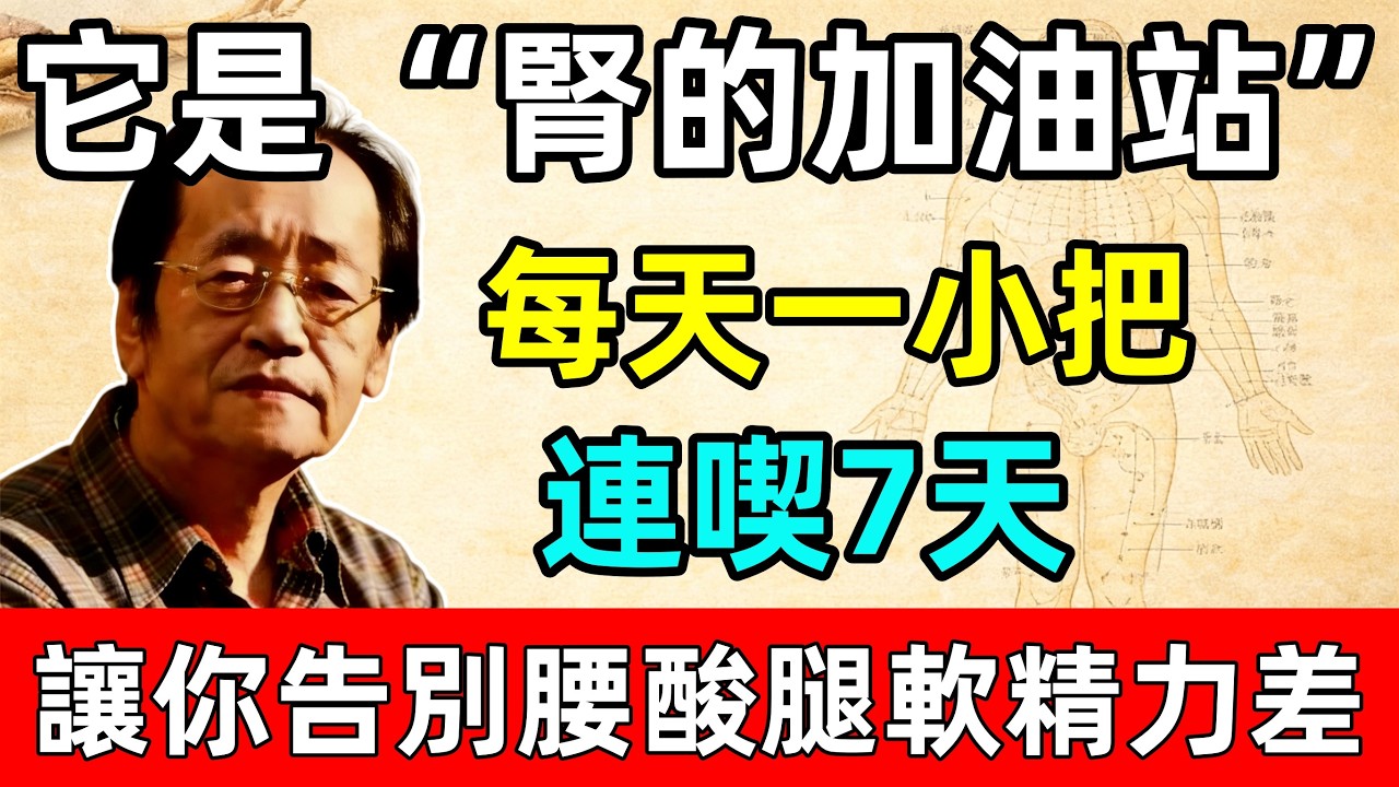 倪海廈：它才是“腎的加油站”！每天一小把，連喫7天，讓你告別腰酸腿軟精力差！#黃帝內經#中醫推拿#健康養生#倪海廈#經方派#倪海廈 #倪師 #中药知识