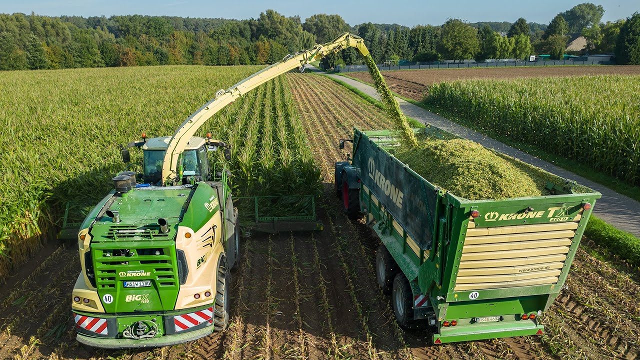 Mais 2023 / Krone Big X 1180 / LU Willems / Maize silage