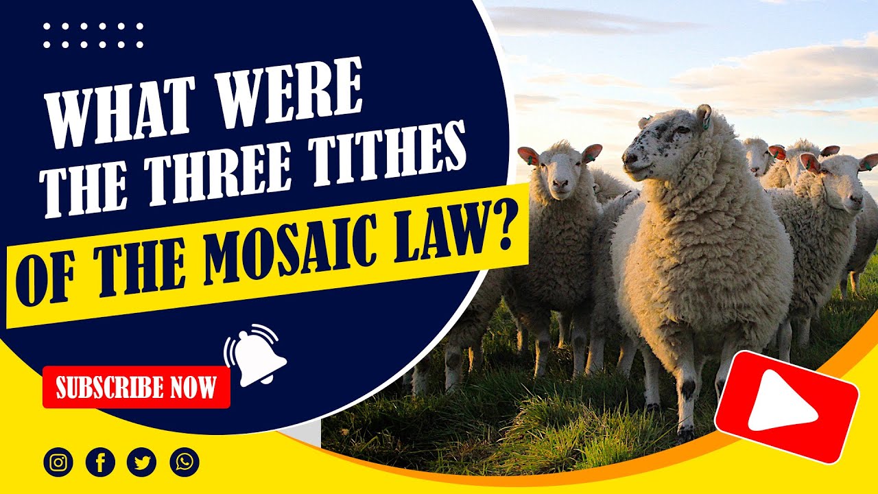 What are the Three Tithes in the Old Testament? A Detailed Study of Tithing In the OT