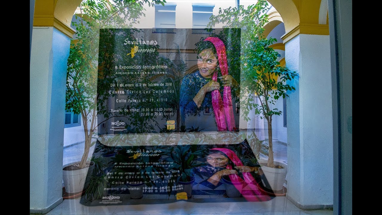 Sevillanos Diversos - Exposici&oacute;n Fotogr&aacute;fica