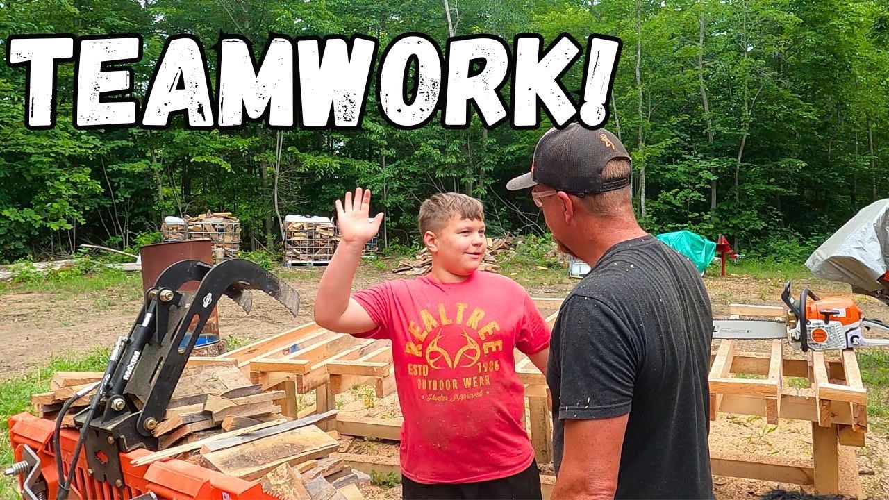 We Removed a Dozen Stumps with the MechMaxx SG380