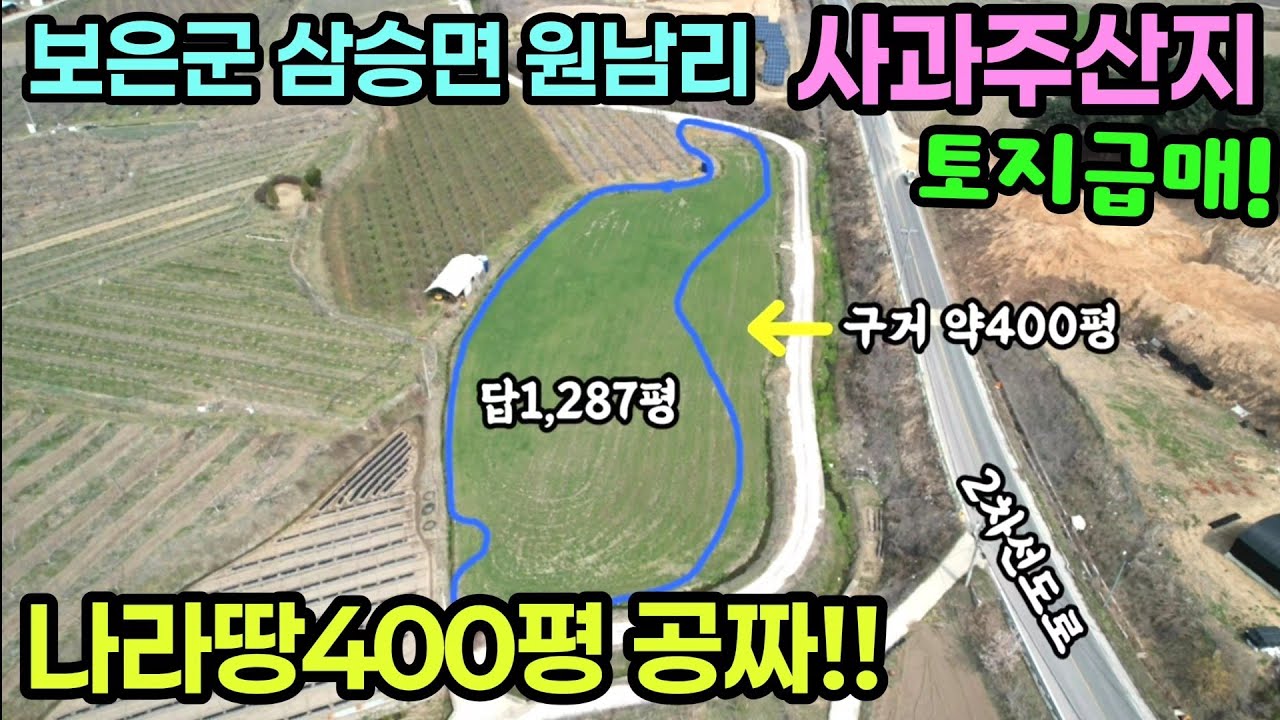(805번)보은군 삼승면 원남리 사과주산지 전1,287평(실사용 약1700평) 매1억6,700만원 도시지역 생산녹지 주택지 과수원부지 #보은부동산 #충북보은토지