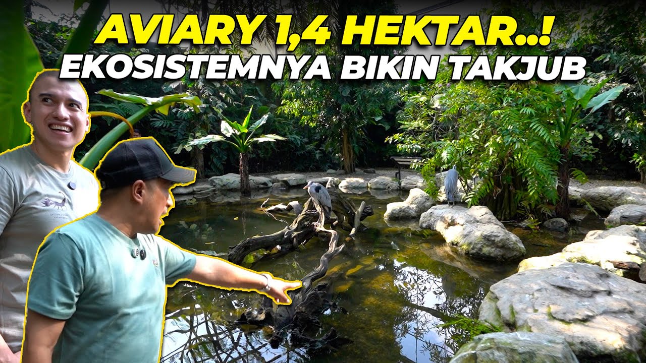 KEMBALI LAGI KE AVIARY 1,4 HEKTAR..! MAKIN RIMBUN, MAKIN BANYAK HEWAN YG GW BELUM PERNAH LIAT