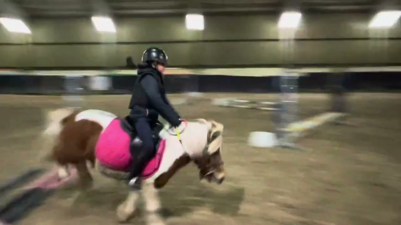 Concour de cheval interne 2024/11/30