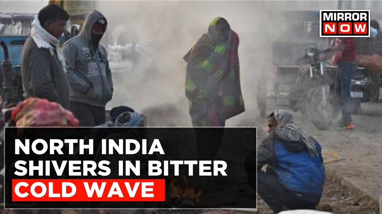 From J&K To Delhi-NCR, North India Shivers In Cold Wave & Visibility Worsens Amid Fog | Top News