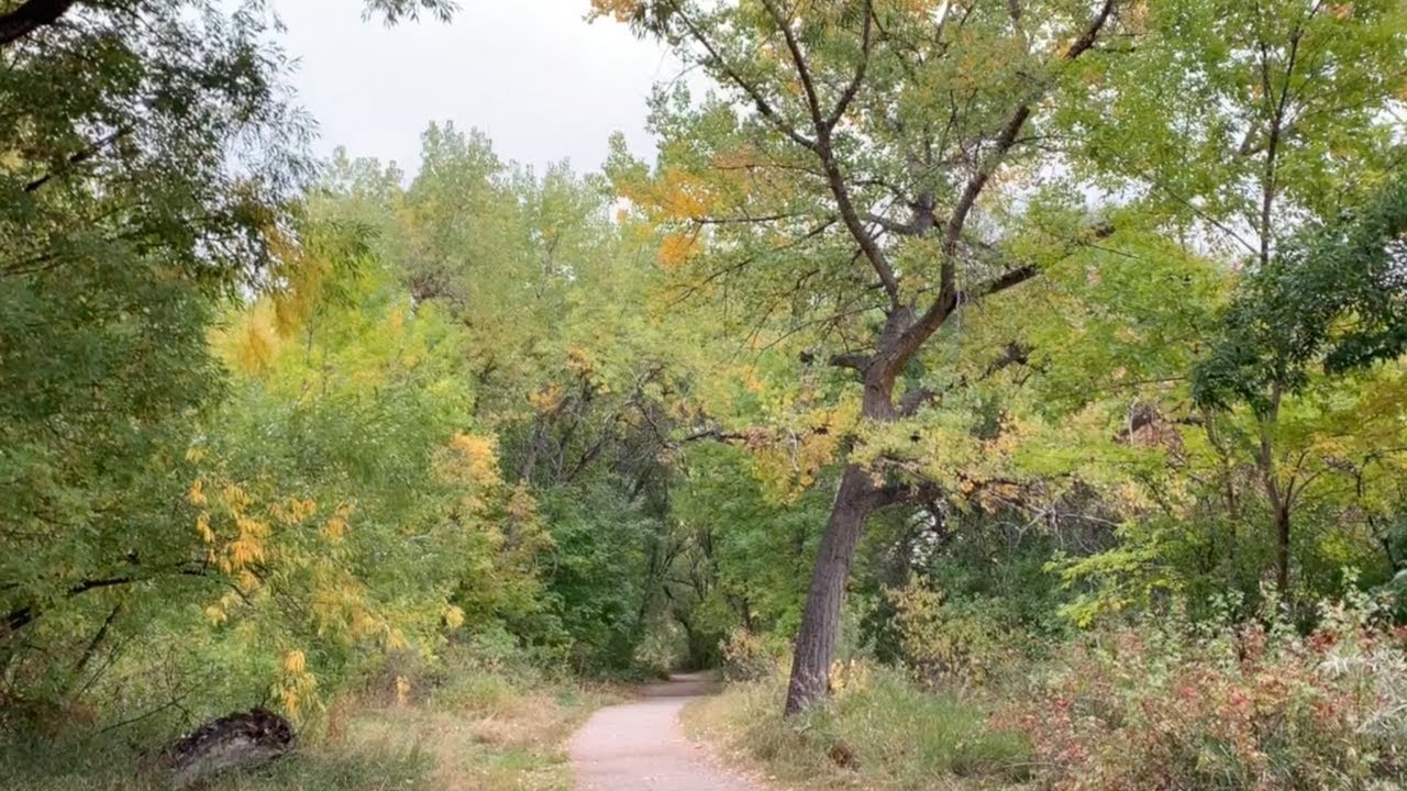 Come on a Fall Walk with Me 🍂