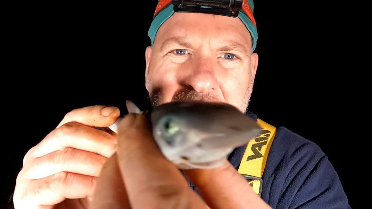 Fishing at Ceveleys - 4/8/23