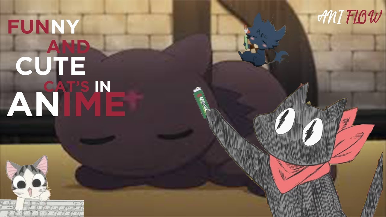 Funny and Cute cat moments in anime ~ (Anime Funny Moments) アニメの面白いかわいい猫の瞬間