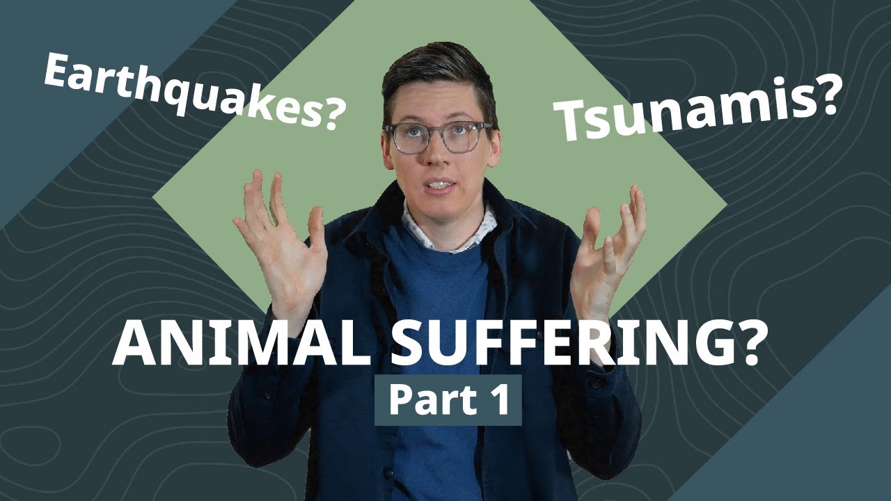 My Response to Animal Suffering and Natural Evil (Part 1)