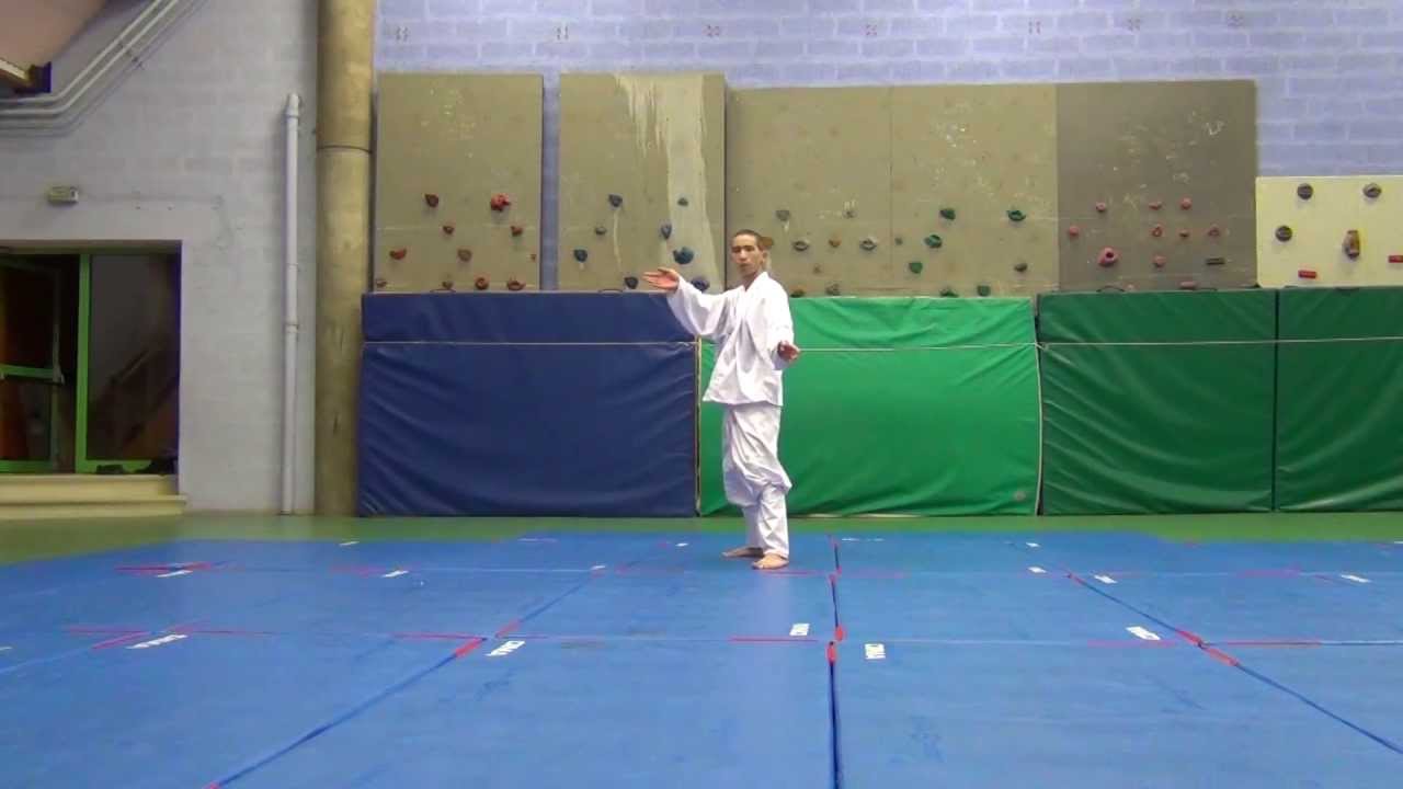 Beondae Boegi - Taekkyon Rillieux France 2013