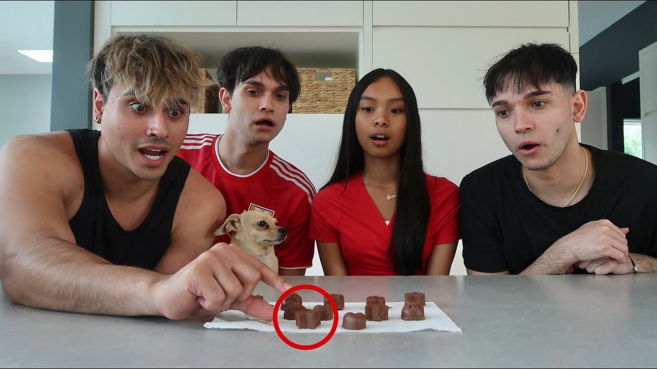 POISON CANDY CHALLENGE WITH THE DOBRE BROTHERS!!!