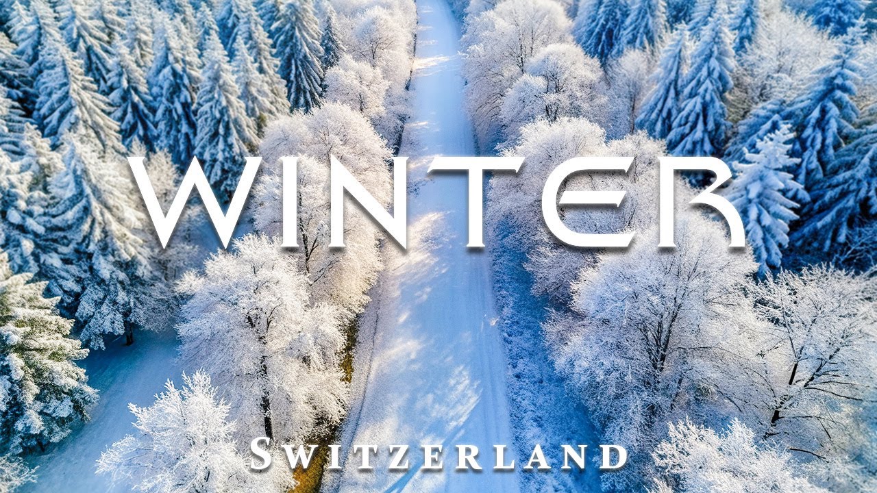 Experience Winter in Switzerland ❄️ The most beautiful frozen foliage scene ever seen.