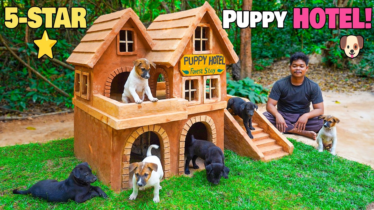 I Built a Luxury Clay Puppy Hotel in the Jungle 🐶🌿 They Checked In!