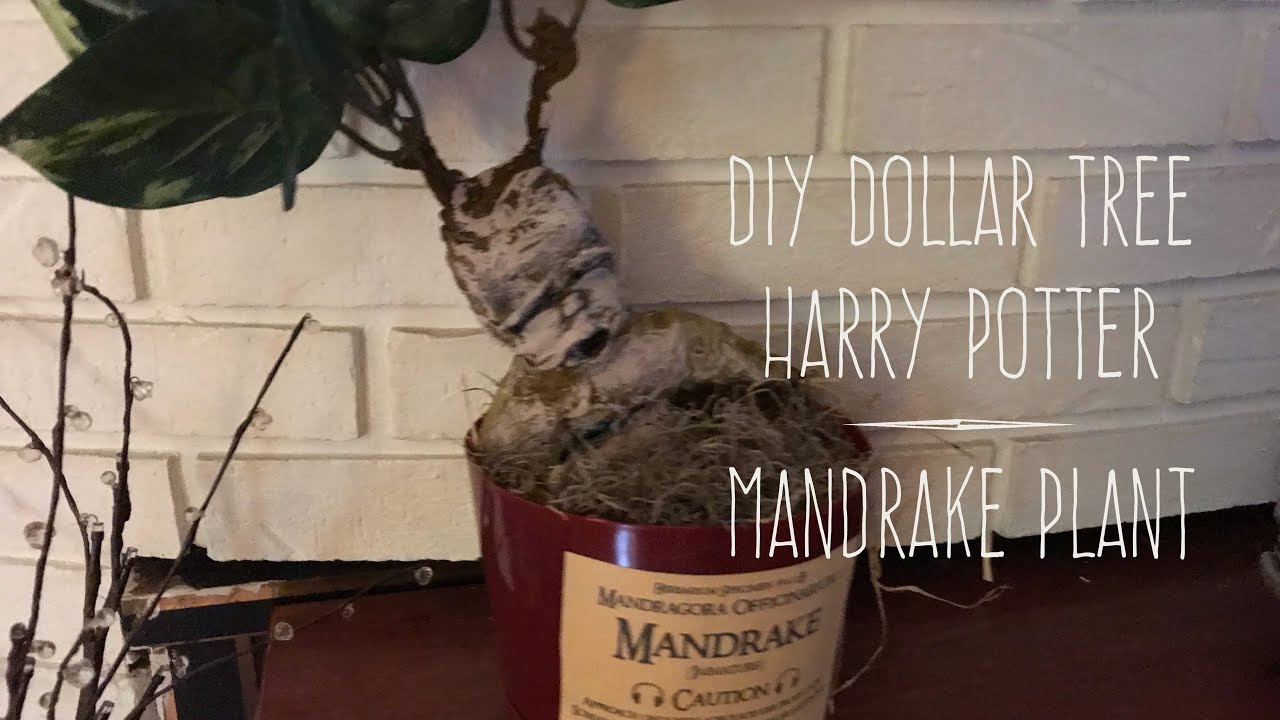 DIY Dollar Tree Harry Potter Mandrake Plant Fourth in the Series