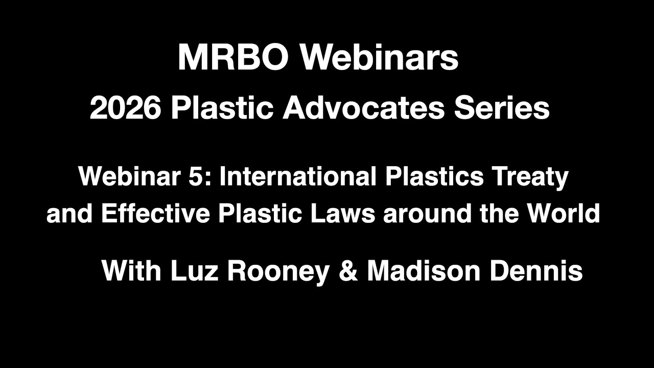 The International Plastics Treaty and Plastic Laws from Around the World