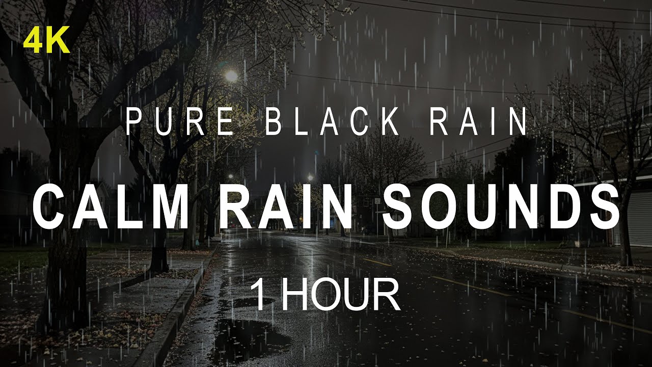 ⛈️ Calm Rain Sounds | Natural Sleep Support | 1 Hour