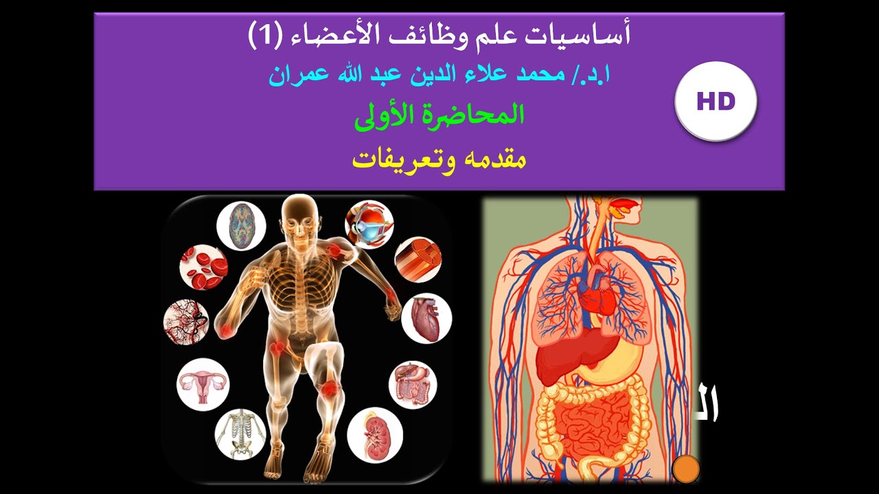 المحاضرة الأولى اساسيات الفسيولوجي (1) - مقدمه وتعريفات
