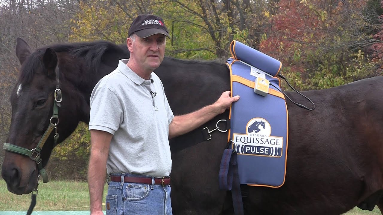 Using the Back Pad and Hand Unit - Niagara Equissage