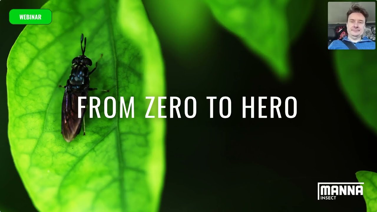 Manna Insect Presents: The journey from zero to BSF hero