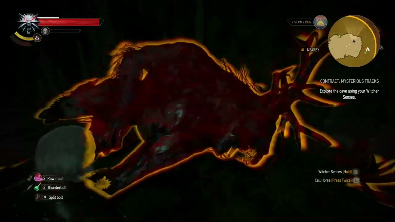 The Witcher 3 Part 7-2