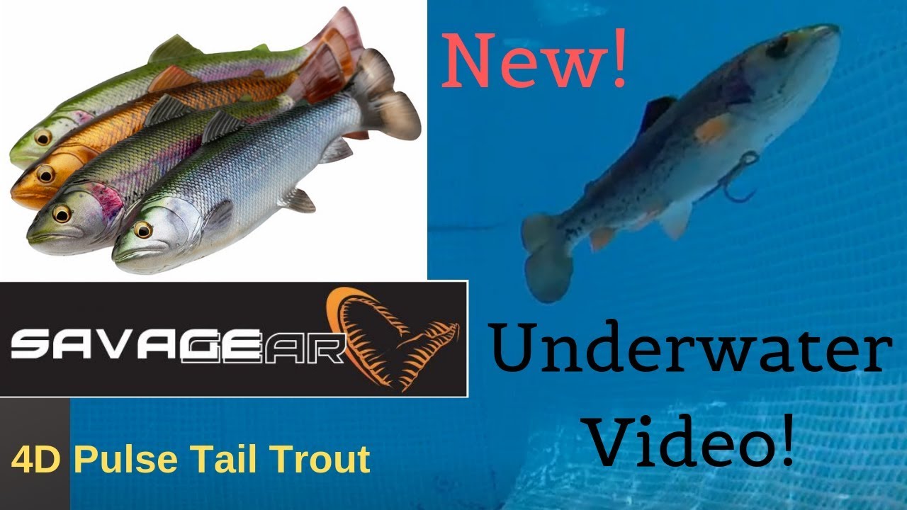 NEW! Savage Gear 4D Pulse Tail Trout Swimbait. Underwater Video!