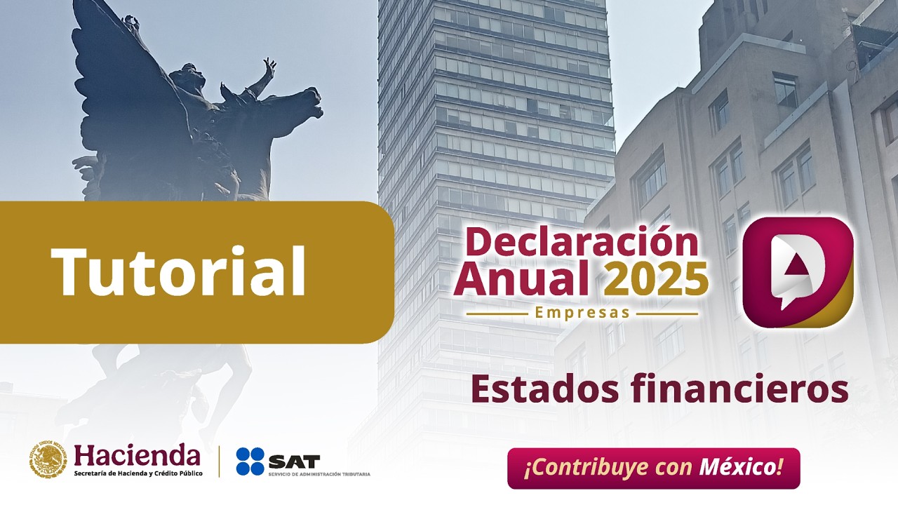 Tutorial Declaración Anual 2025 empresas - Estados financieros