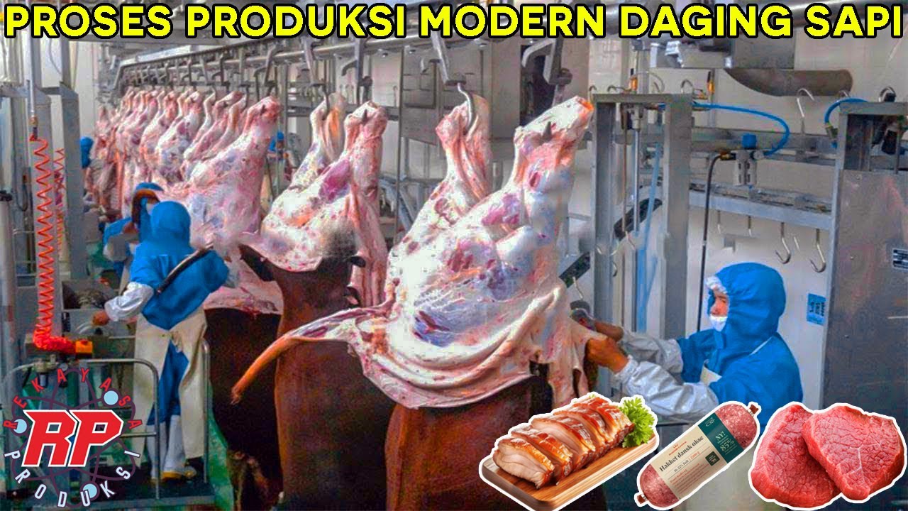 PROSES PRODUKSI MODERN DAGING SAPI DI PABRIK DANISH CROWN DAN TURKEY
