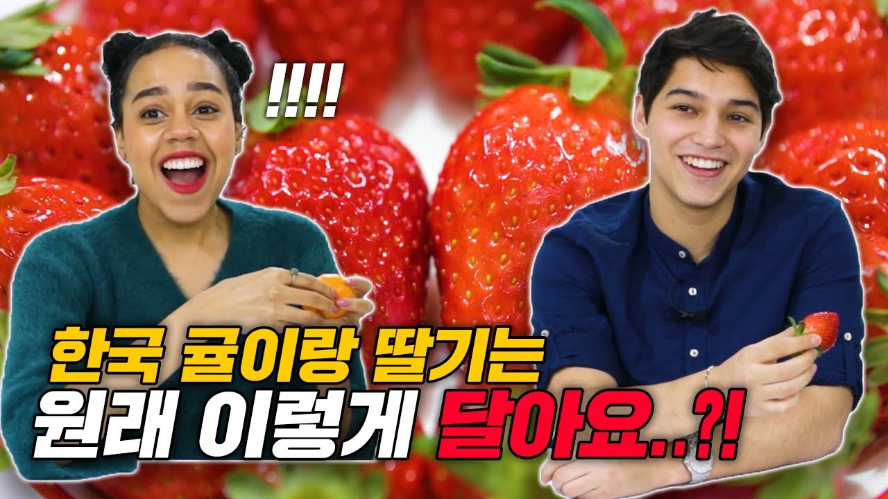한국의 대표적인 겨울 과일(귤, 딸기, 유자차)을 처음 먹어본 외국인들 반응?!!