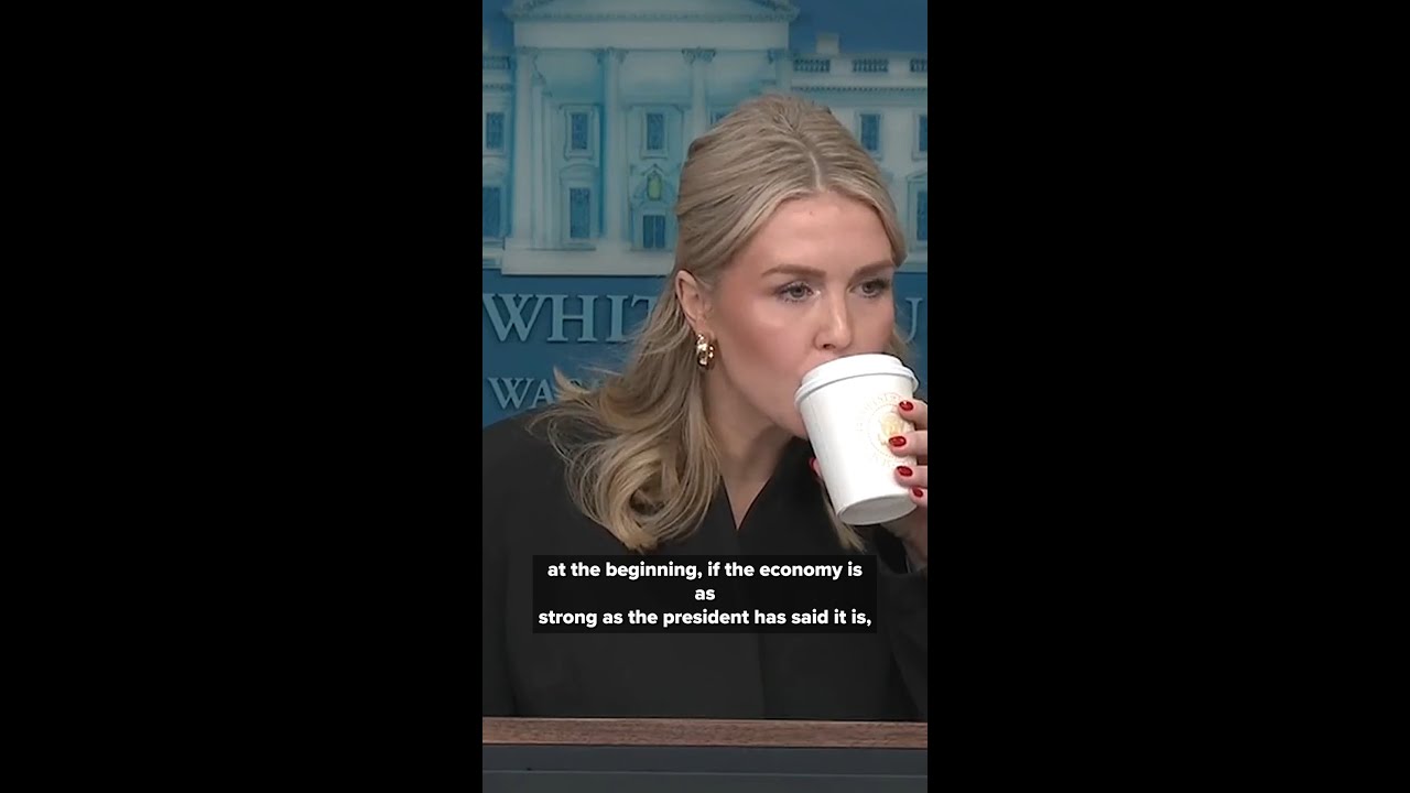 White House Karoline Leavitt and Kaitlan Collins debate affordability